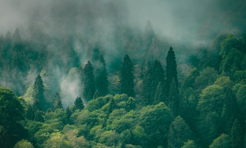 ISO14001：2015课程培训